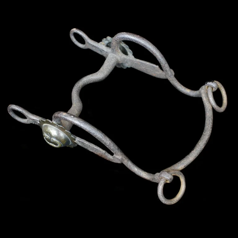 CS Bridle Bit