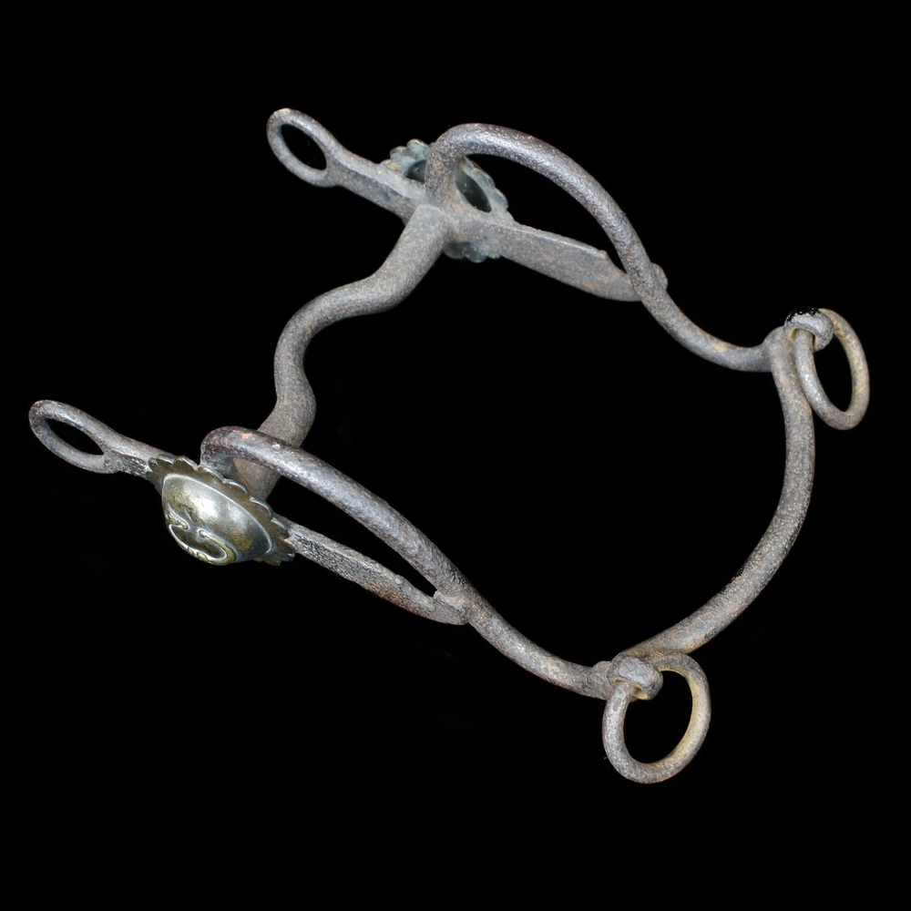 CS Bridle Bit